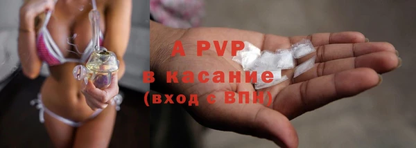 стаф Абаза
