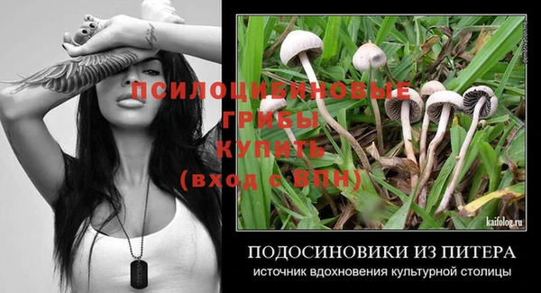 спайс Абинск