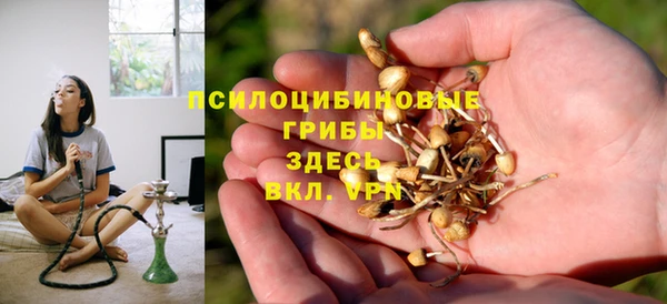 стаф Абаза