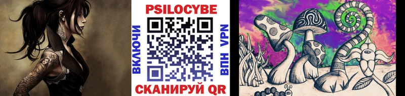 цена   Карабаново  Псилоцибиновые грибы мицелий 